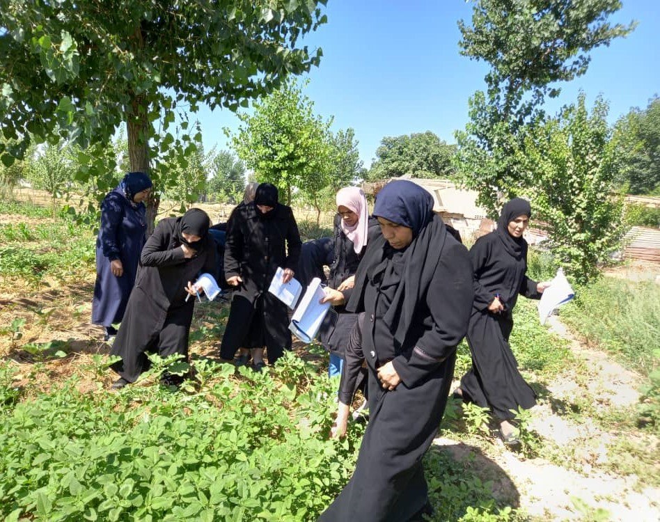 تدريب زراعي في الغوطة