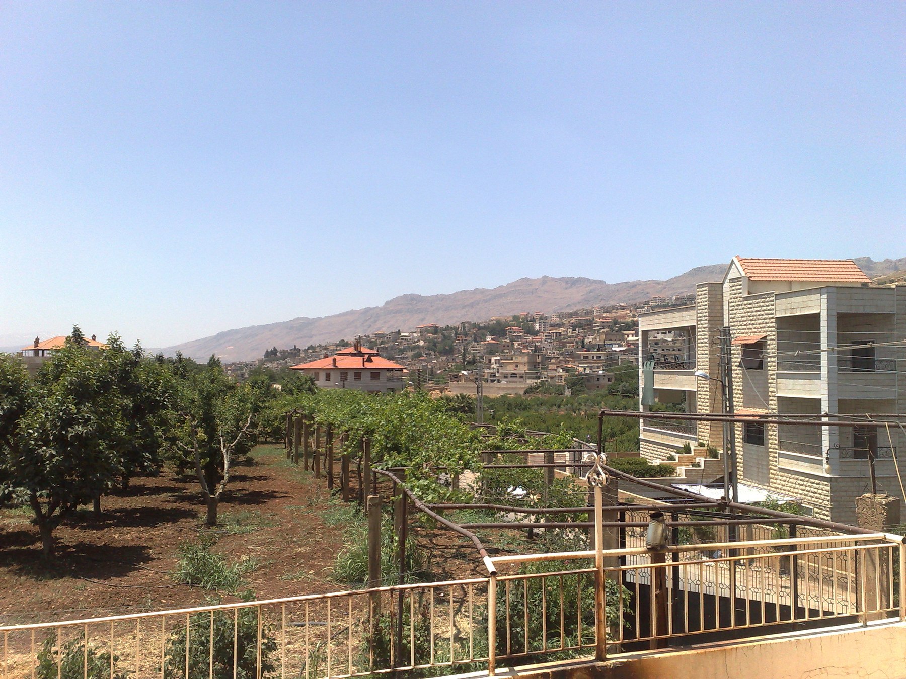 سهل الزبداني